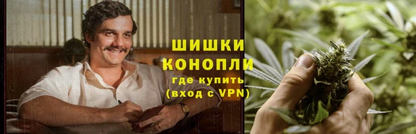spice Лагань