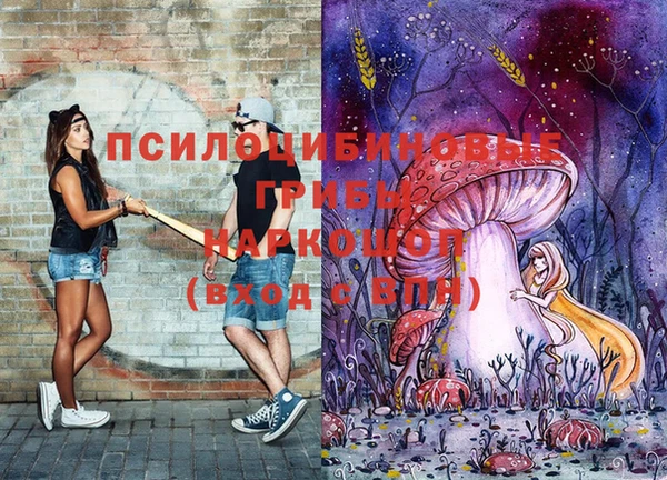 spice Лагань