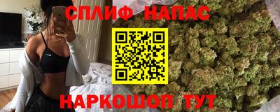 гидра Можга