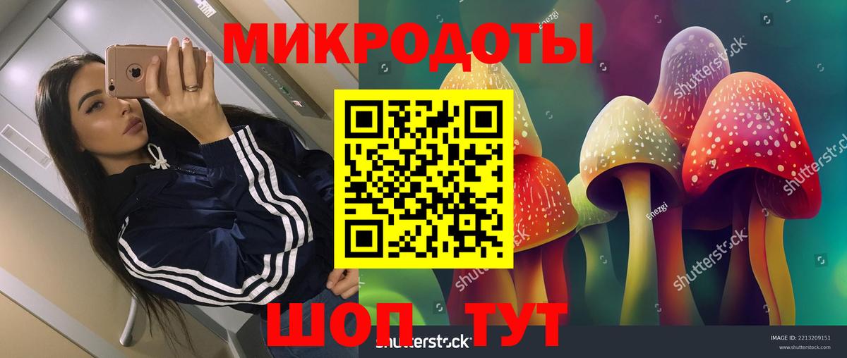 Галлюциногенные грибы Psilocybine cubensis  Вход с VPN  Электросталь 